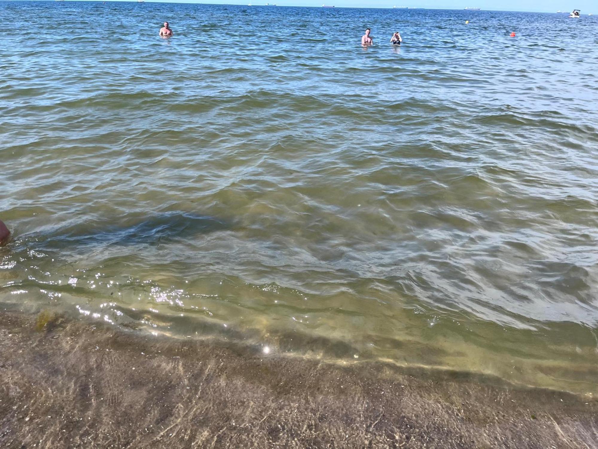 דירות Pod Zaglami Gdansk Brzezno מראה חיצוני תמונה